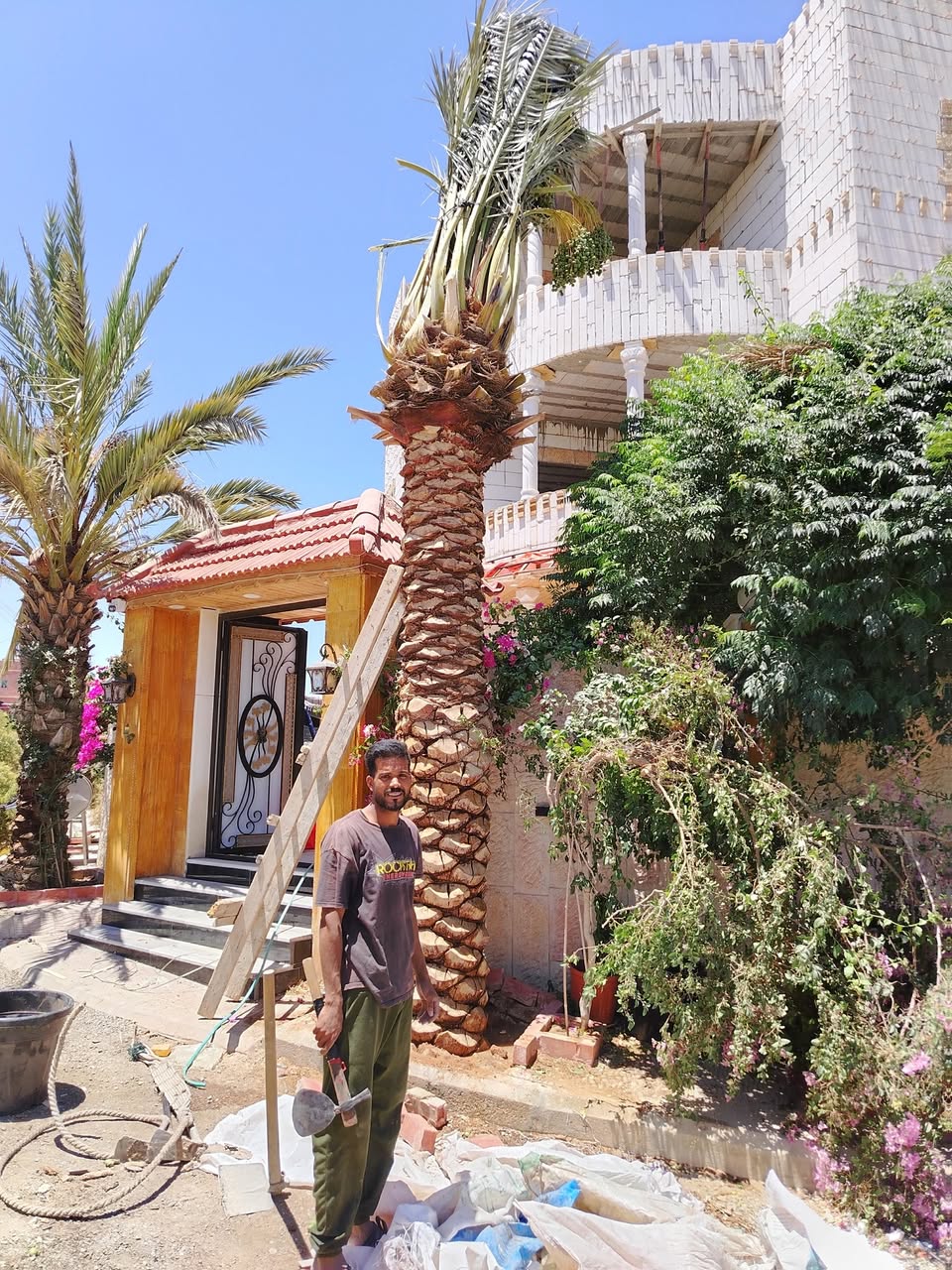 مزرعة نخيل مثمر للبيع في جميع أنحاء المملكة