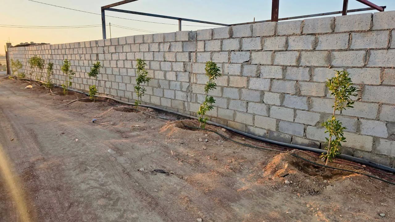 مزرعة في الزيتونة بلعما بمساحة ٣ دونم مع بيت ١٠٠ متر وخدمات متكاملة - 4