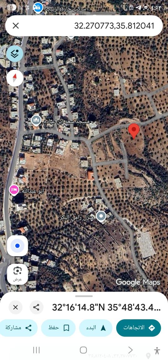 أرض مزروعة بالزيتون للبيع في جرش