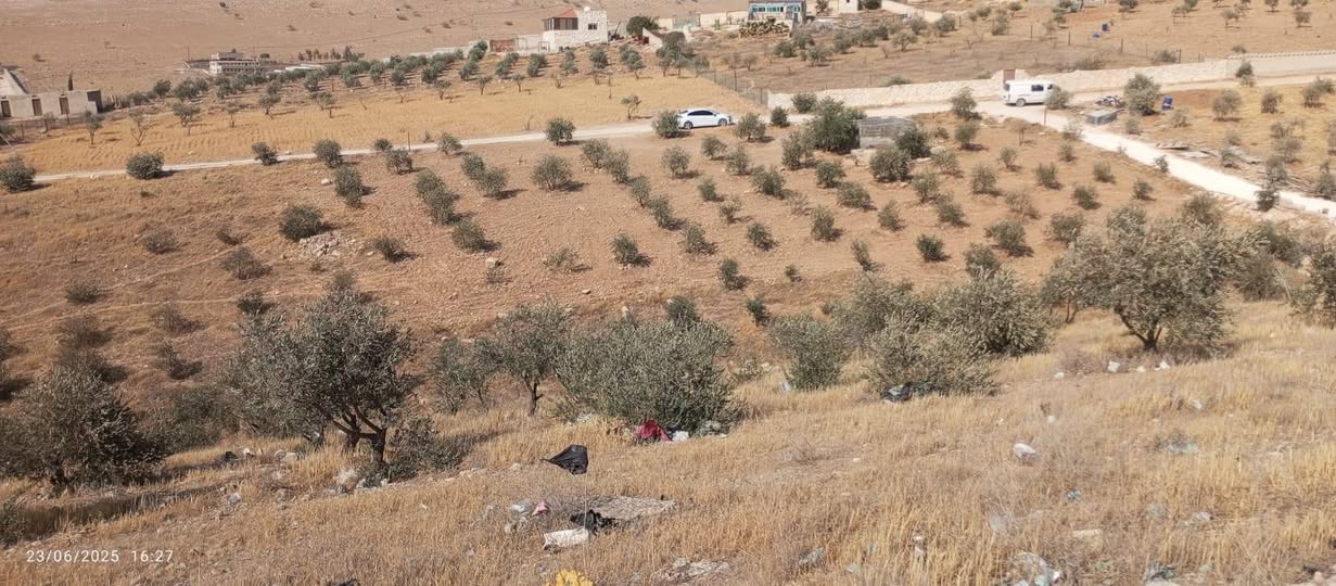 أرض مفروزة بمساحة 3400 متر في طريق غريسا القنيه بسعر مناسب - 4