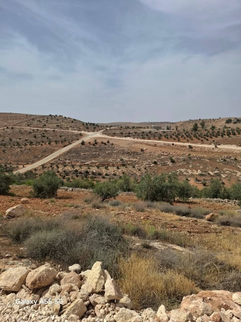ارض للبيع في منطقة نادرة بمساحة ٣ دونم ونصف