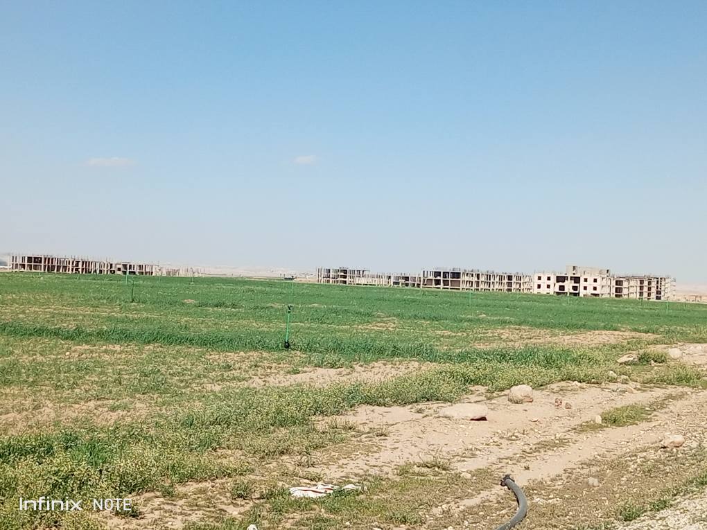 ارض للبيع بمساحة 1200 متر بعد جسر المطار مع سند تسجيل مستقل - 3
