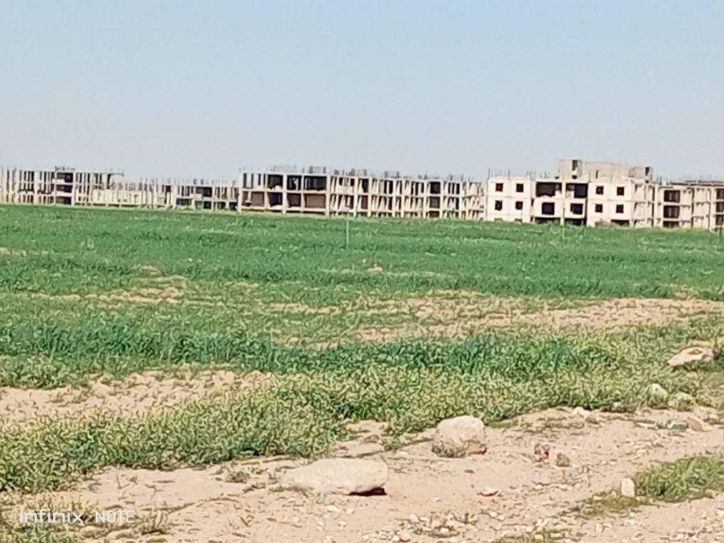 ارض للبيع بمساحة 1200 متر بعد جسر المطار مع سند تسجيل مستقل - 4