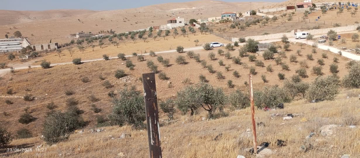 أرض مفروزة بمساحة 3400 متر في طريق غريسا القنيه بسعر مناسب - 5