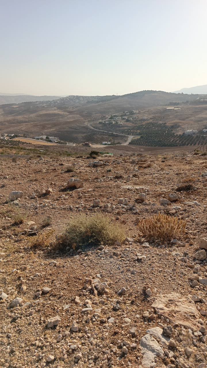 أرض للبيع في جرش عنيبه تصلح لمزرعة أو شاليه