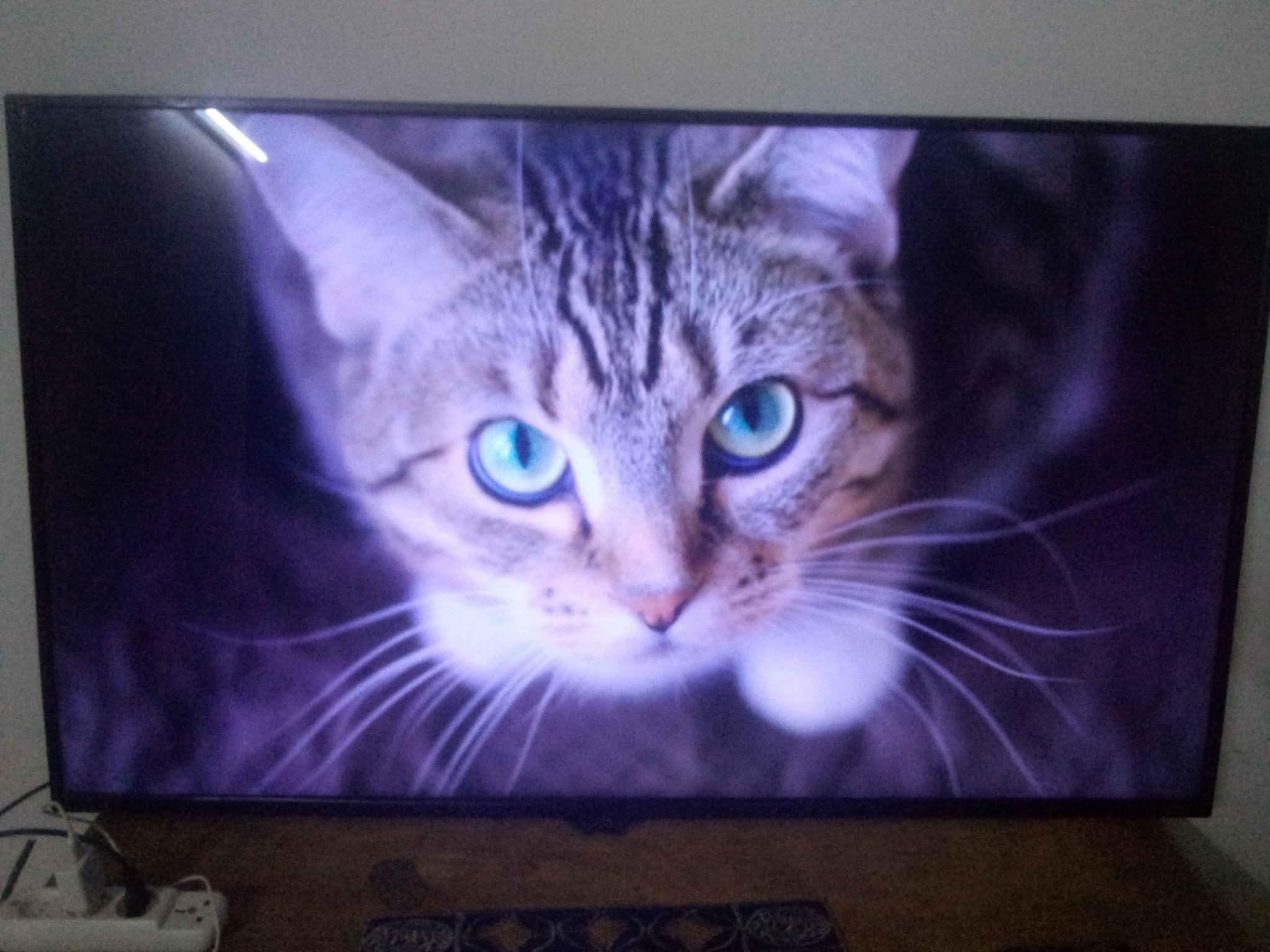 شاشة غزال سمارت 65 بوصة 4K للبيع